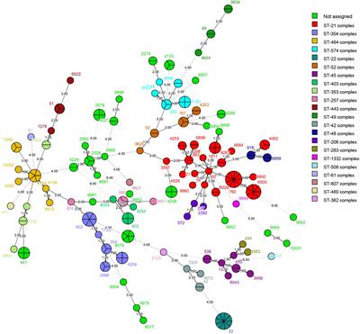 Multilocus Sequence Types and Antimicrobial Resistance of Campylobacter jejuni and C. coli Isolates of Human Patients From Beijing, China, 2017–2018